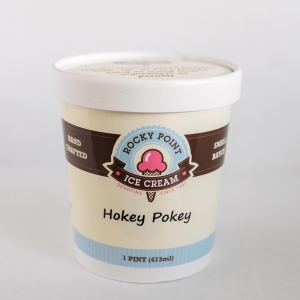 Hokey Pokey Ice Cream
